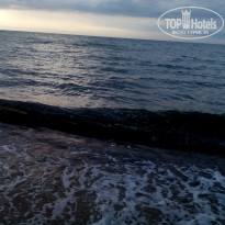 фото из отзыва ID 1384074