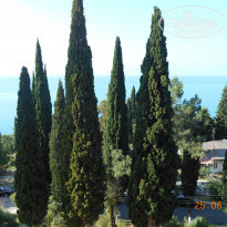 фото из отзыва ID 1384086