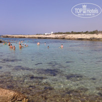 фото из отзыва ID 1384091