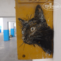 фото из отзыва ID 1384245