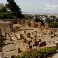 фото из отзыва ID 1384287