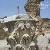 фото из отзыва ID 1384287