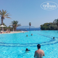 фото из отзыва ID 1384290