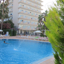 фото из отзыва ID 1384311