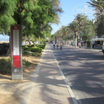 фото из отзыва ID 1384311