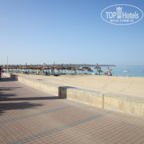 фото из отзыва ID 1384311