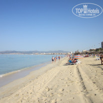 фото из отзыва ID 1384311