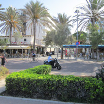 фото из отзыва ID 1384311