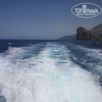 фото из отзыва ID 1384311