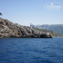 фото из отзыва ID 1384311