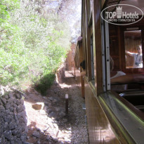 фото из отзыва ID 1384311