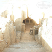 фото из отзыва ID 1384397