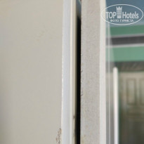 фото из отзыва ID 1383033