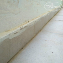 фото из отзыва ID 1383033