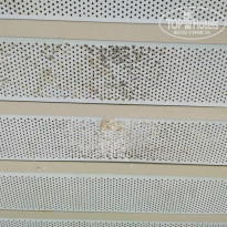 фото из отзыва ID 1383033