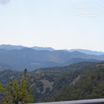 фото из отзыва ID 1384526