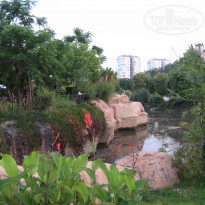 фото из отзыва ID 1384595