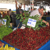 фото из отзыва ID 1384595