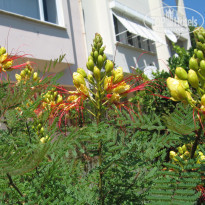 фото из отзыва ID 1384595