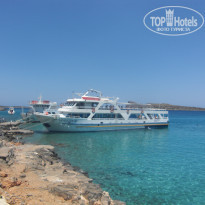 фото из отзыва ID 1384633