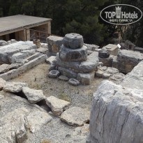 фото из отзыва ID 1384633