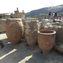 фото из отзыва ID 1384633