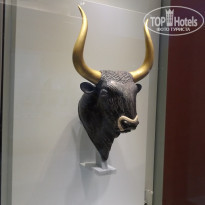 фото из отзыва ID 1384633