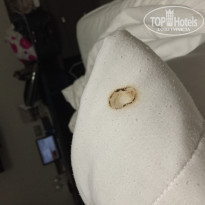 фото из отзыва ID 1384652