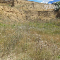 фото из отзыва ID 1384675