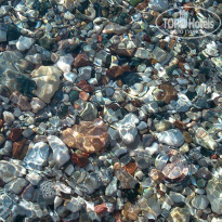 фото из отзыва ID 1384686