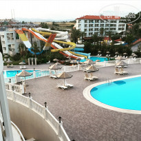 фото из отзыва ID 1384816