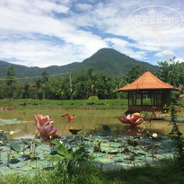 фото из отзыва ID 1384835