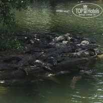 фото из отзыва ID 1384835