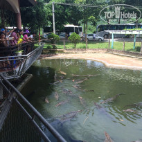 фото из отзыва ID 1384835