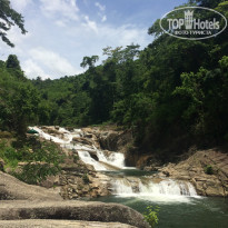 фото из отзыва ID 1384835