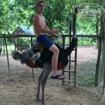 фото из отзыва ID 1384835