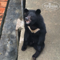 фото из отзыва ID 1384835