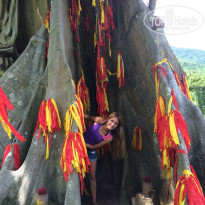 фото из отзыва ID 1384835