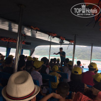 фото из отзыва ID 1384835