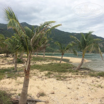 фото из отзыва ID 1384835