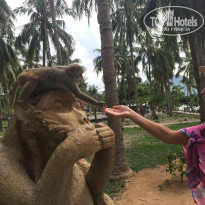 фото из отзыва ID 1384835