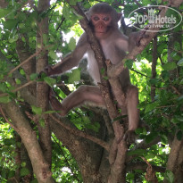 фото из отзыва ID 1384835