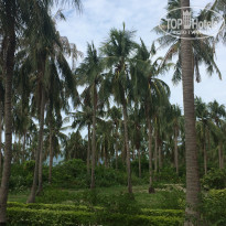 фото из отзыва ID 1384835