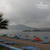 фото из отзыва ID 1384837