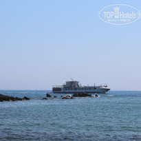 фото из отзыва ID 1384841