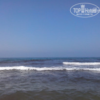 фото из отзыва ID 1384841