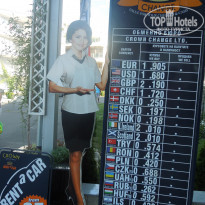 фото из отзыва ID 1384909