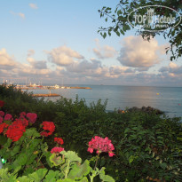 фото из отзыва ID 1384909