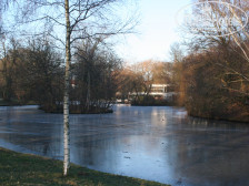 Dorint Park Hotel Bremen 5*