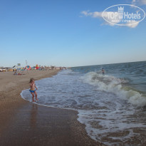 фото из отзыва ID 1384946